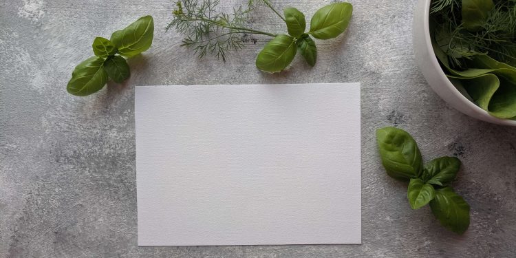 Kartka papieru i rośliny